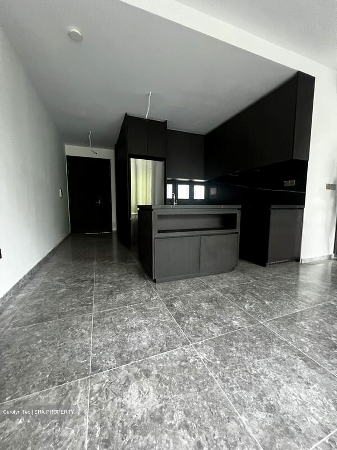 Hyll On Holland (D10), Condominium #582400601